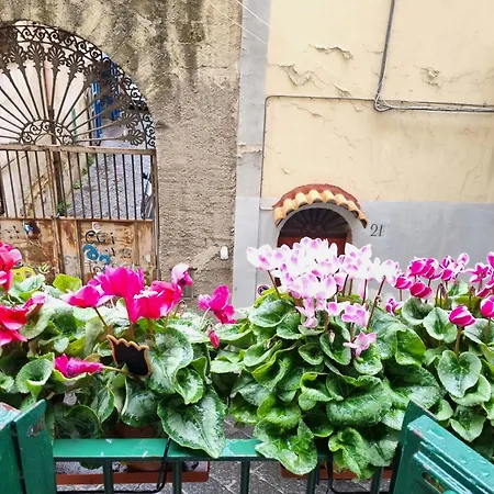 La Casa Di Domi-2